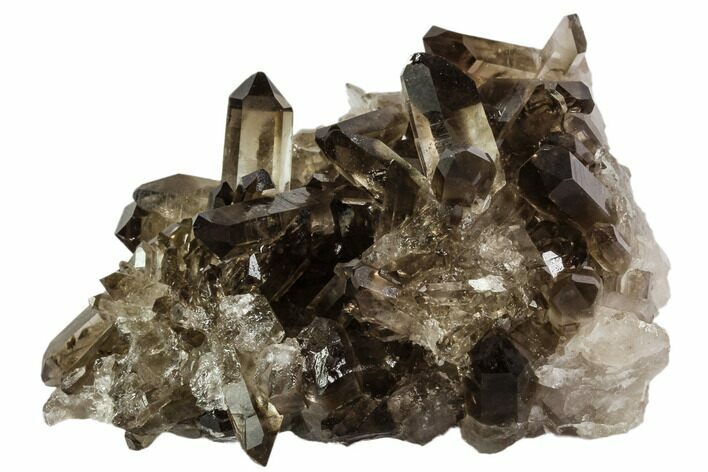 Dark Smoky Quartz Crystal Cluster - Brazil #106966